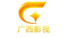 广西影视频道,映照八桂大地光影魅力